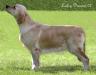letti-4-yrs-1.jpg