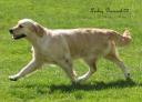letti-4-yrs-moving.jpg