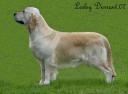 toby-3.jpg