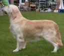 toby-windsor.jpg